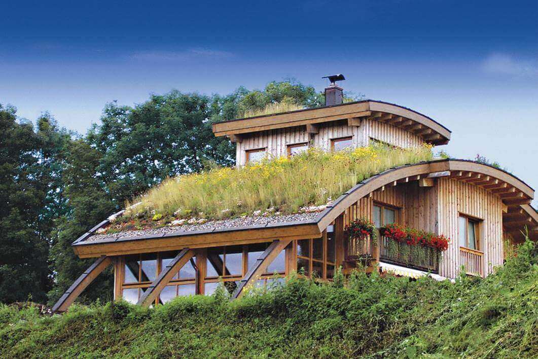 Zielony dach cena
